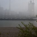 31-10-2011 - Schiff festgefahren - 03